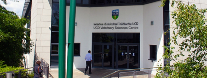 Studying Veterinary Medicine in UCD