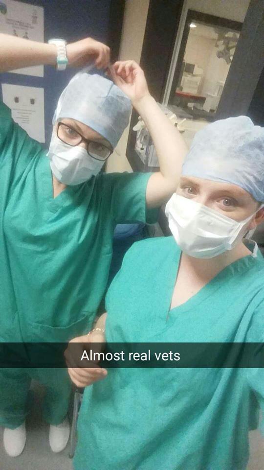 student vets in scrubs