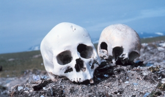 An Introduction to Forensic Anthropology